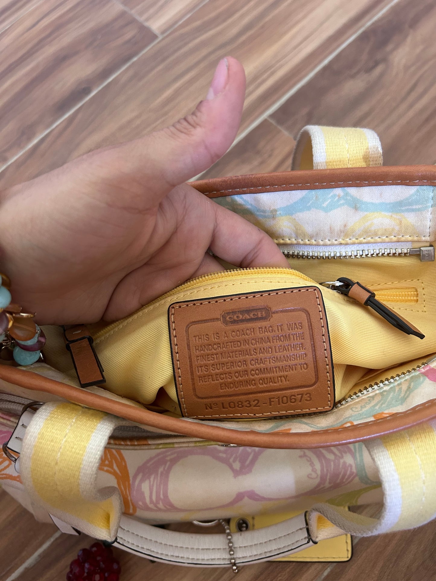 Coach pastel color hampton bag