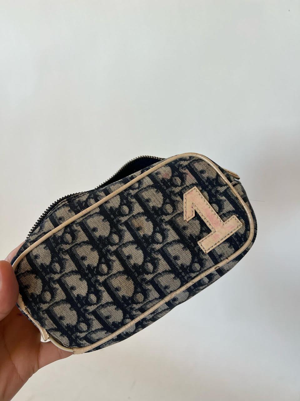 Dior monogram mini pouch