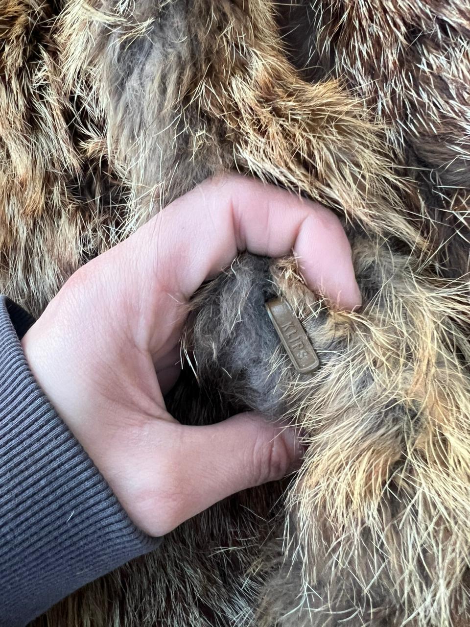 Real fox fur mini coat